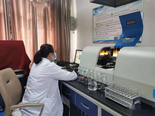 民樂縣水務局強化行業監管，筑牢農村飲水安全基石——聚焦集中式供水保障